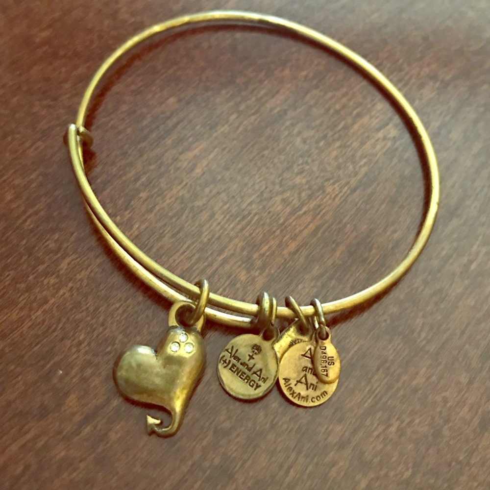 Alex and Ani bronze bracelet